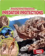 Amazing Animal Adaptations: Predator Protections