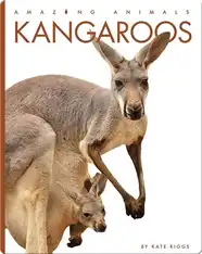 Amazing Animals: Kangaroos