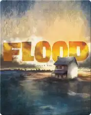 Flood