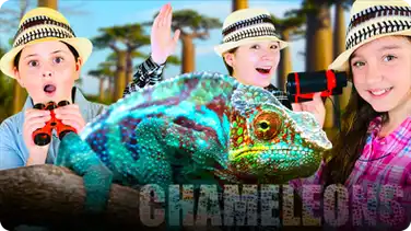 Learn About Chameleons with The Wild Adventure Girls! book