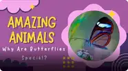 Amazing Animals: Why are Butterflies Special?
