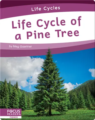 Life Cycle of a Pine Tree book
