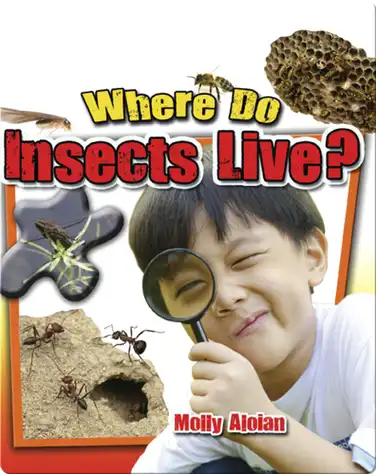 Where Do Insects Live? book