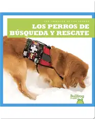 Los perros de búsqueda y rescate
