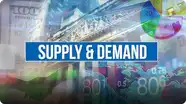 Economics Course: Supply and Demand