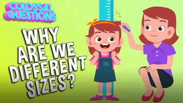 Colossal Questions: Why Are We Different Sizes? book