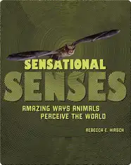 Sensational Senses: Amazing Ways Animals Perceive the World
