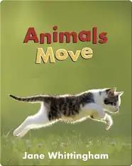 Big, Little Concepts: Animals Move