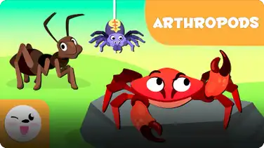 Smile and Learn Animals: Arthropods book