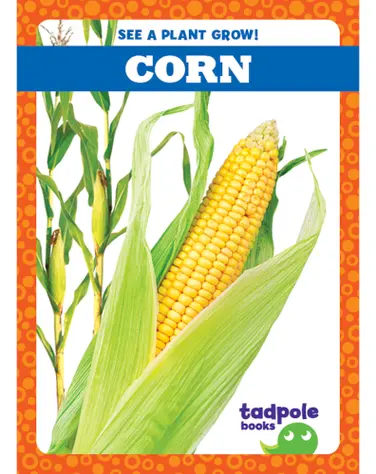 See a Plant Grow!: Corn book