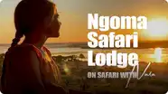 On Safari With Nala: Visit to Safari Lodge
