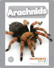 Arachnids