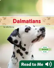 Dalmatians