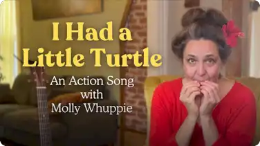I Had a Little Turtle book