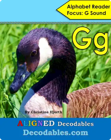 Gg Book book
