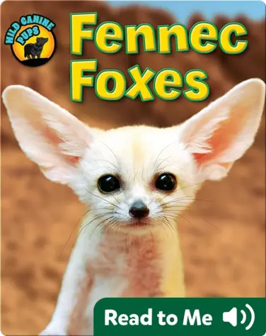 Fennec Foxes (Wild Canine Pups) book