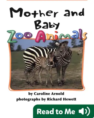 Mother and Baby Zoo Animals book