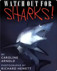 Watch Out For Sharks