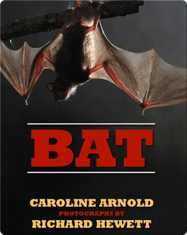 Bat book