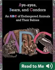 Aye-Ayes, Bears, and Condors
