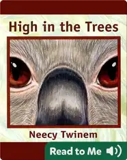 High in the Trees
