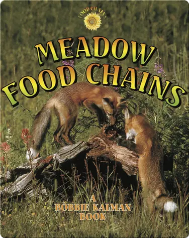 Meadow Food Chains book