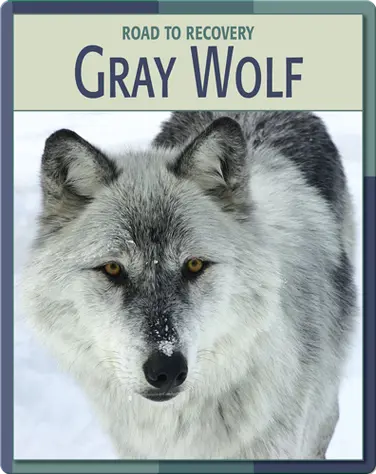 Road To Recovery: Gray Wolf book