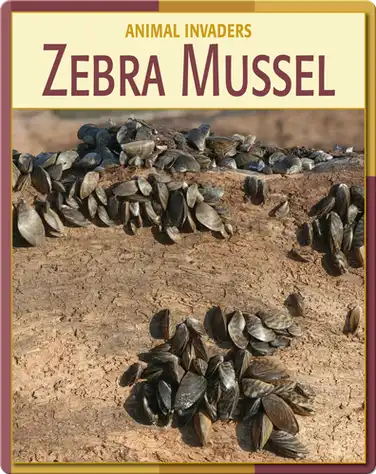 Animal Invaders: Zebra Mussel book