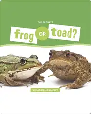 Frog or Toad?