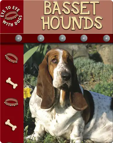 Eye To Eye With Dogs: Basset Hounds book