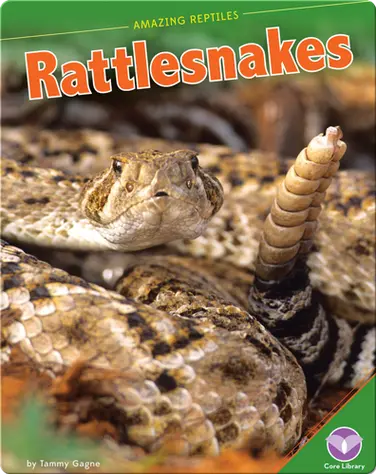 Amazing Reptiles: Rattlesnakes book