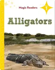 Magic Readers: Alligators