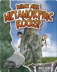 What Are Metamorphic Rocks?