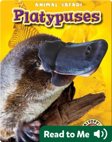 Platypuses: Animal Safari book
