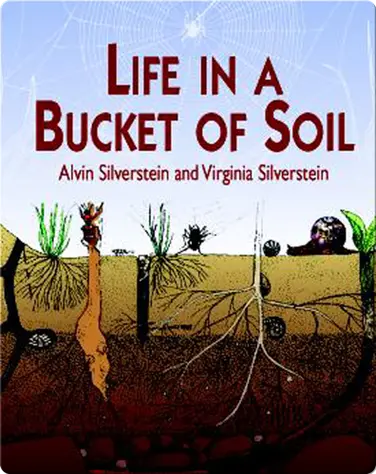 Life in a Bucket of Soil book