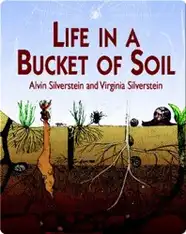 Life in a Bucket of Soil