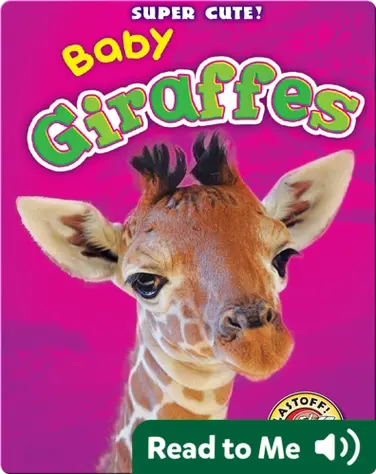 Super Cute! Baby Giraffes book