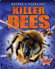 Killer Bees