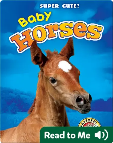 Super Cute! Baby Horses book