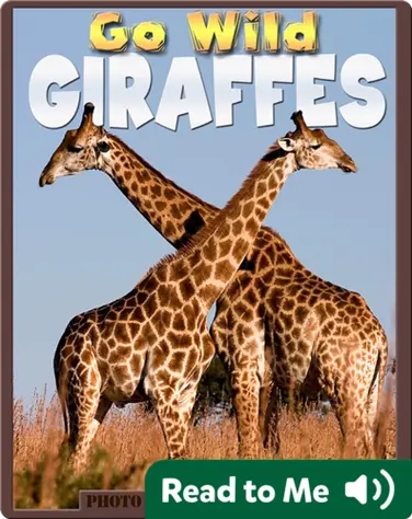 Go Wild Giraffes book