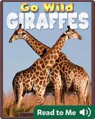 Go Wild Giraffes