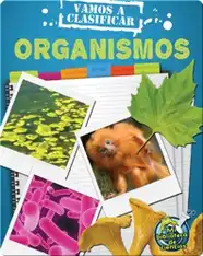 Vamos a clasificar organismos