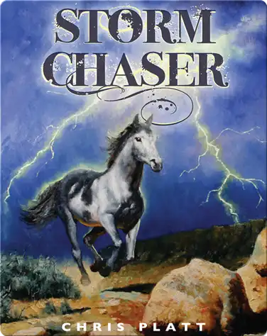 Storm Chaser book