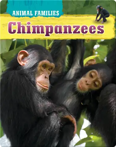 Chimpanzees book