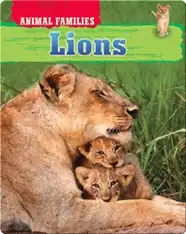 Lions