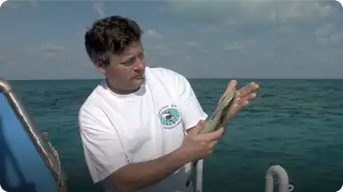 Jonathan Bird's Blue World: Shark Suckers book