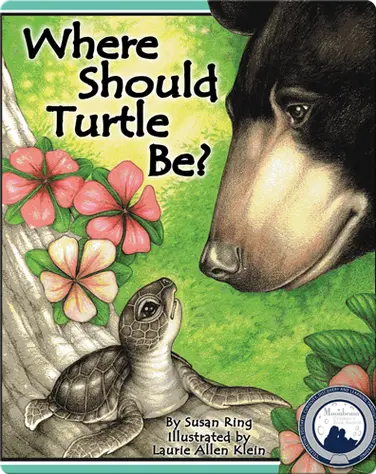 Where Should Turtle Be? book