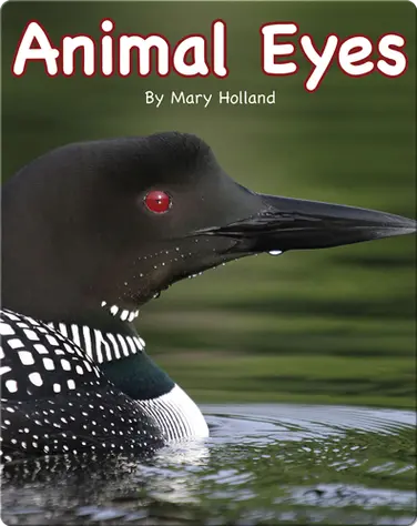 Animal Eyes book