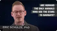 Are Humans the Only Animals to Use the Stars to Navigate?