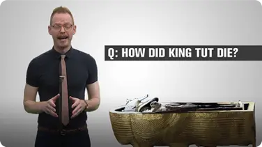 How Did King Tut Die? book